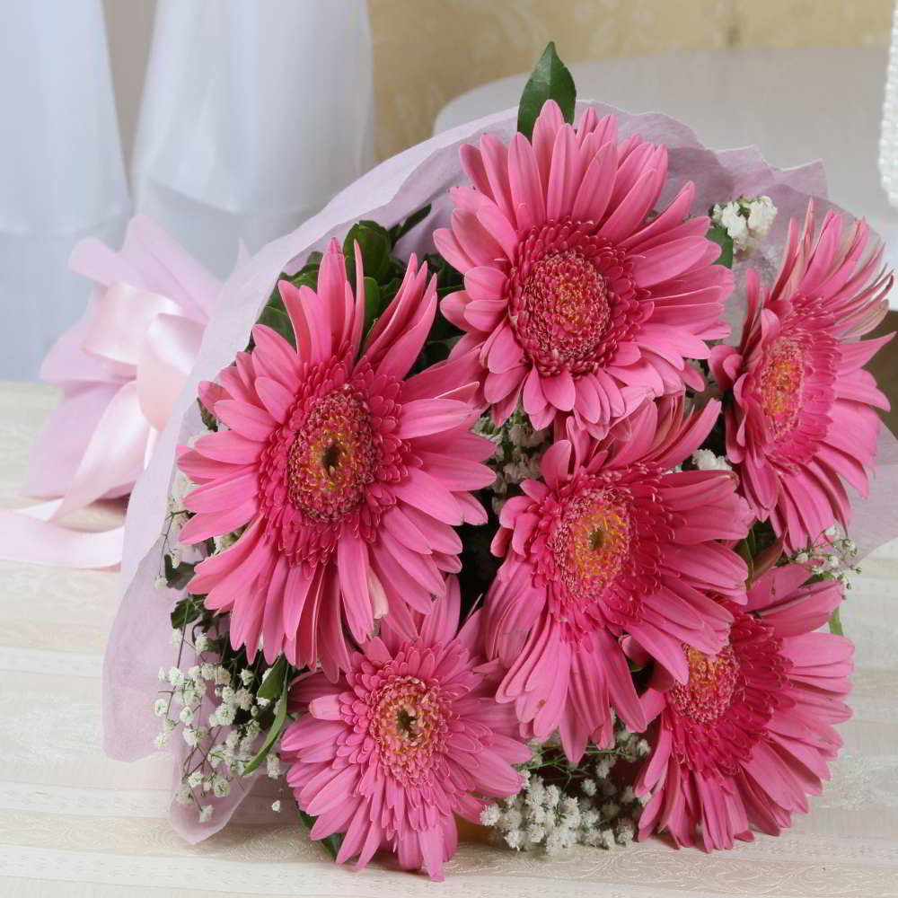 Gerbera