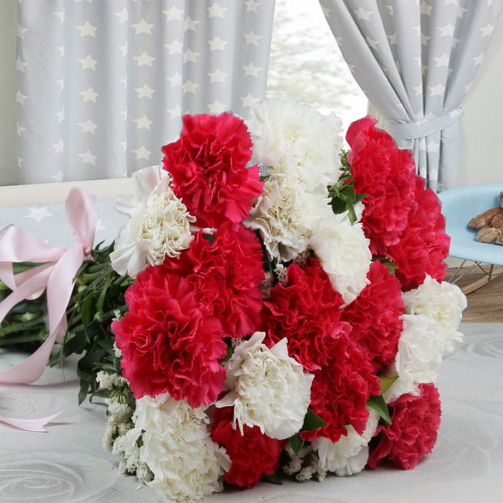 Carnations