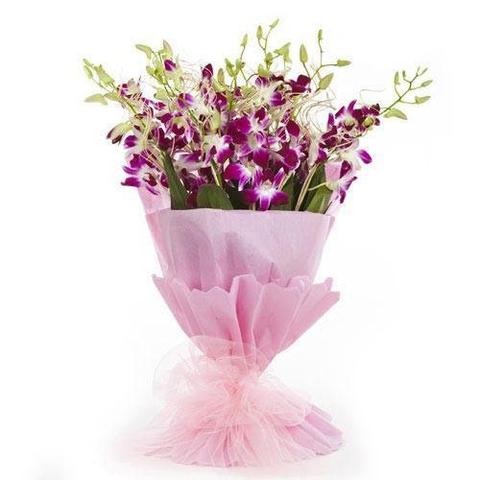 Orchids