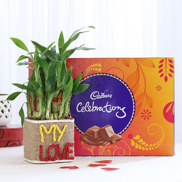 Lucky Bamboo In My Love Vase With Cadbury Celebrations