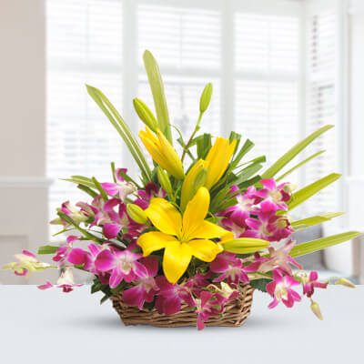 Lilies