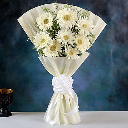 Gerbera