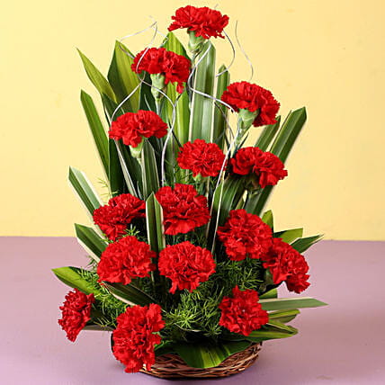 Carnations