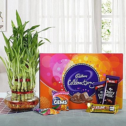 Chocolates with 3-Layer Bamboo Plant