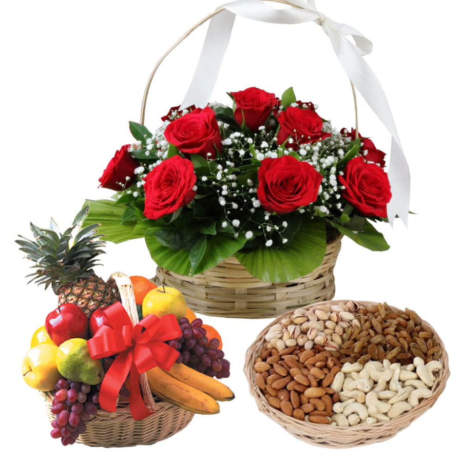 Premium Delight Combo Pack